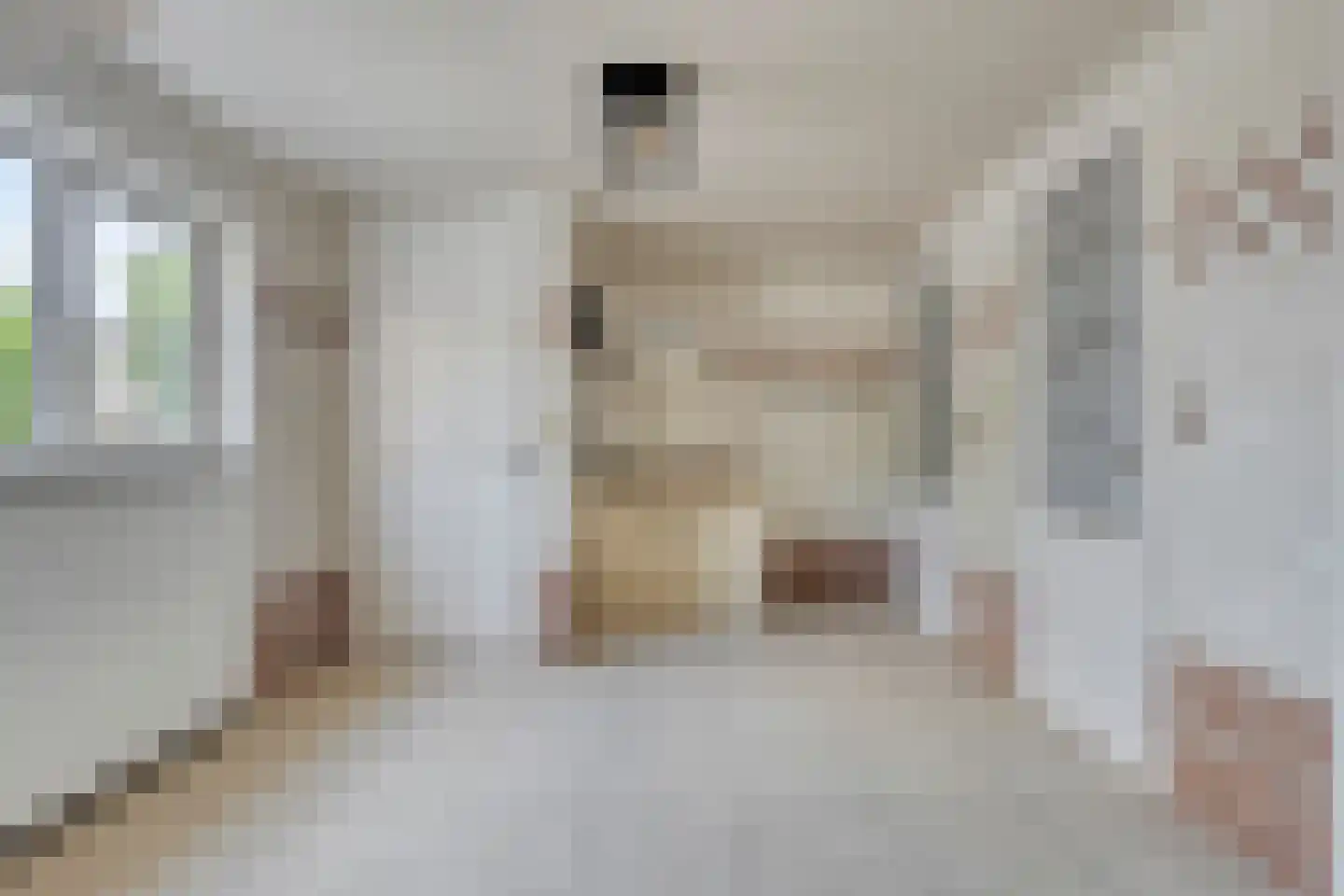 Weverstraat 17 Ossenisse thumbnail 13