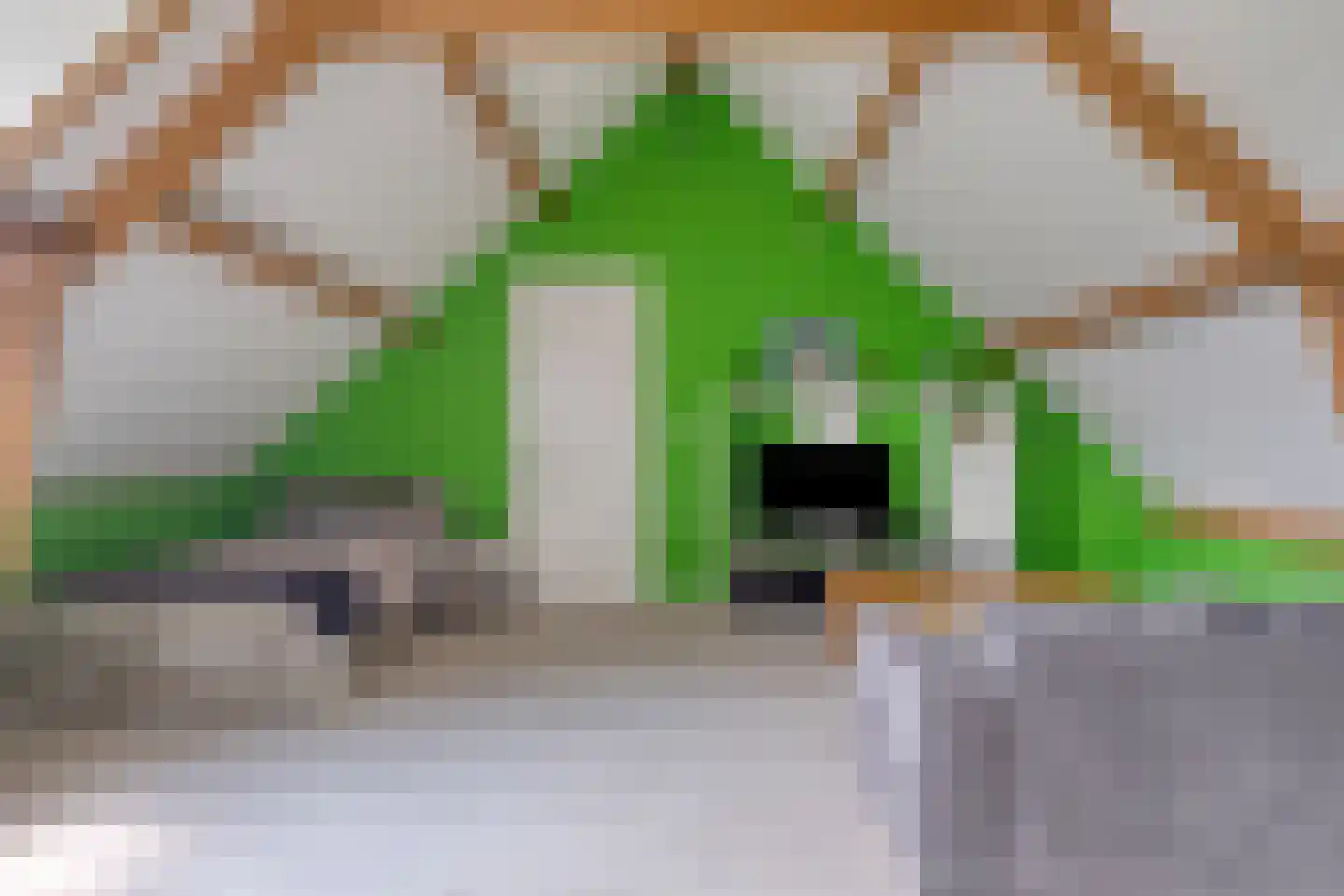 Weverstraat 17 Ossenisse thumbnail 29