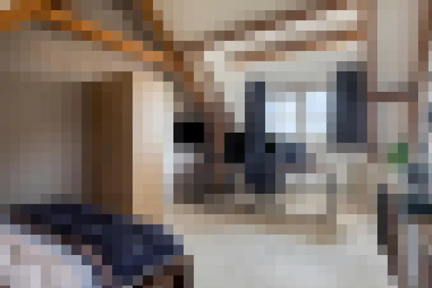 Weverstraat 17 Ossenisse thumbnail 31