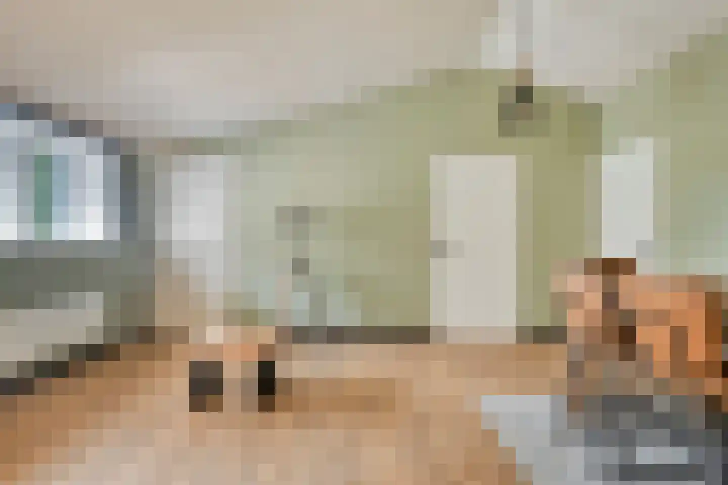 Weverstraat 17 Ossenisse thumbnail 37