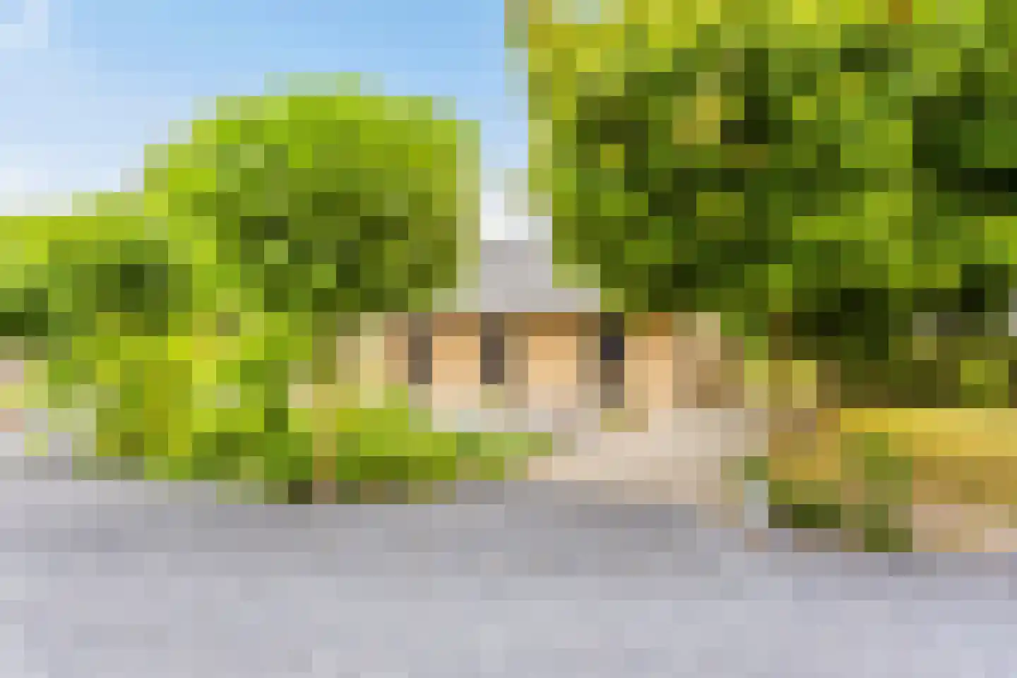 Weverstraat 17 Ossenisse thumbnail 54