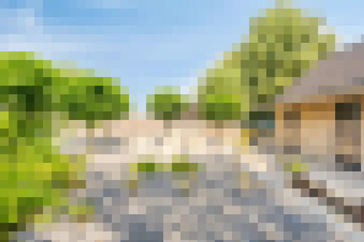 Weverstraat 17 Ossenisse thumbnail 60