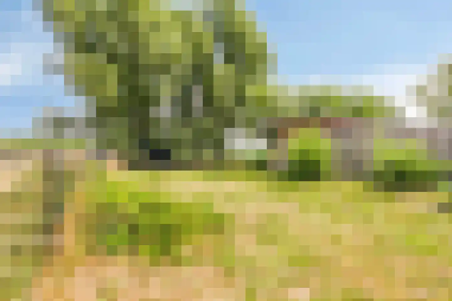 Weverstraat 17 Ossenisse thumbnail 69
