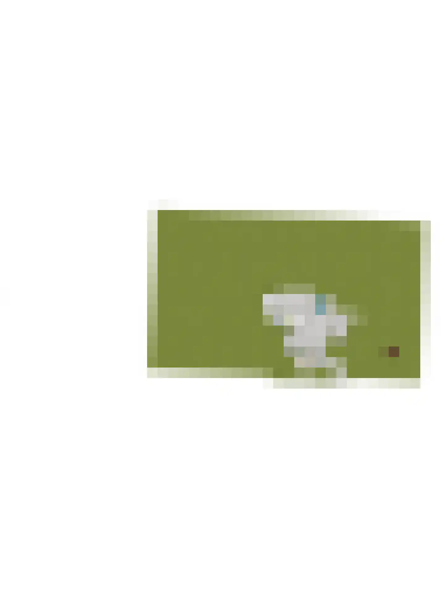 Weverstraat 17 Ossenisse thumbnail 83