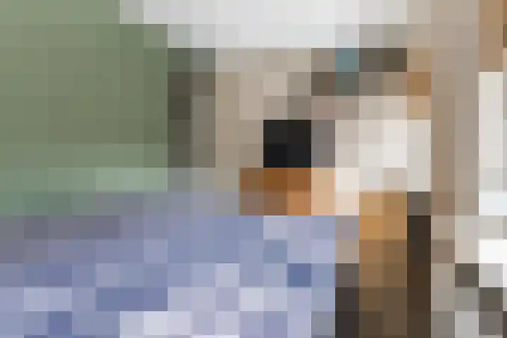 Weverstraat 2 Geldrop thumbnail 19