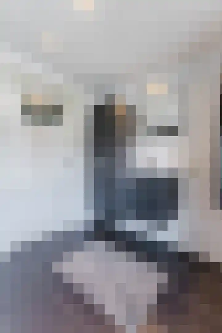 Weverstraat 2 Geldrop thumbnail 25