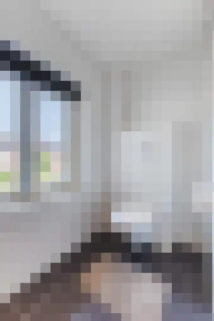 Weverstraat 2 Geldrop thumbnail 26