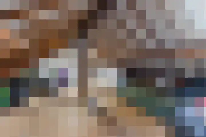 Weverstraat 2 Geldrop thumbnail 29