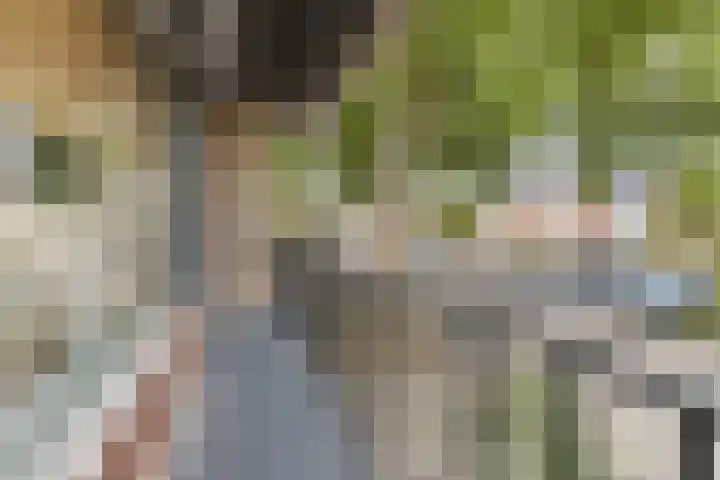 Weverstraat 2 Geldrop thumbnail 31
