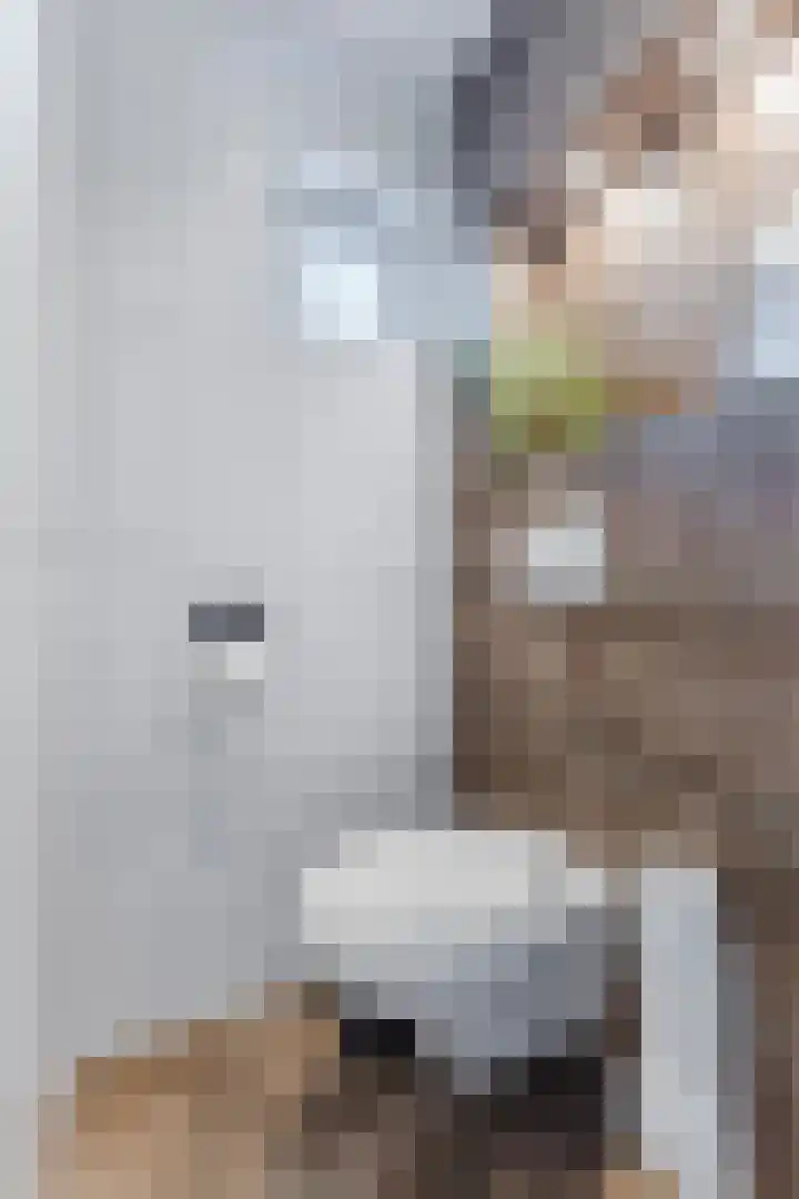 Weverstraat 2 Geldrop thumbnail 5