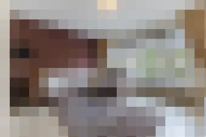 Weverstraat 2 Geldrop thumbnail 6