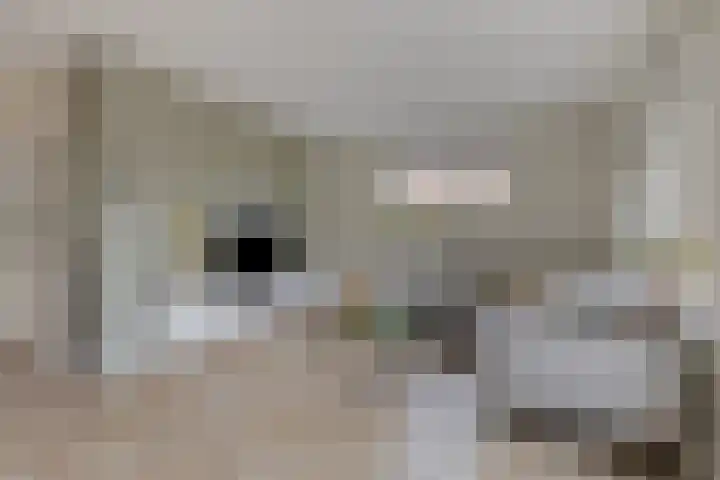Weverstraat 2 Varsselder thumbnail 12