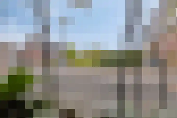 Weverstraat 2 Varsselder thumbnail 13