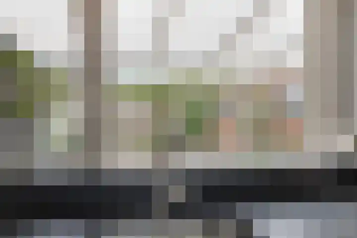 Weverstraat 2 Varsselder thumbnail 18