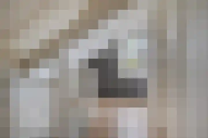 Weverstraat 2 Varsselder thumbnail 33