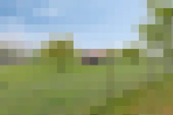 Weverstraat 2 Varsselder thumbnail 47