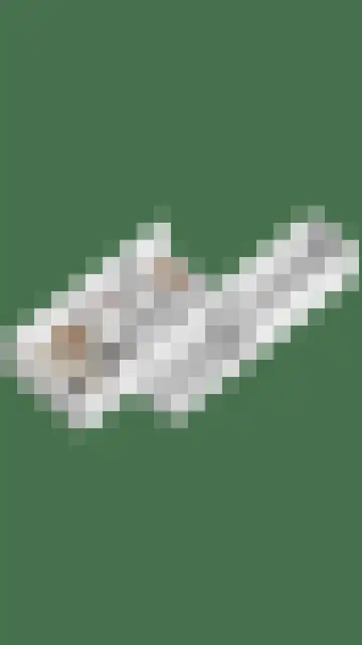 Weverstraat 2 Varsselder thumbnail 51