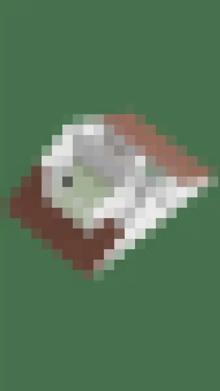 Weverstraat 2 Varsselder thumbnail 53