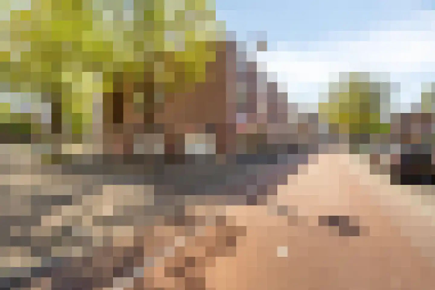 Weverstraat 21 Eindhoven thumbnail 22