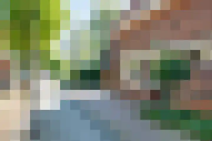 Weverstraat 22 Borculo thumbnail 23