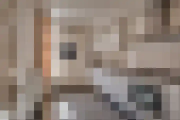 Weverstraat 22 Borculo thumbnail 4