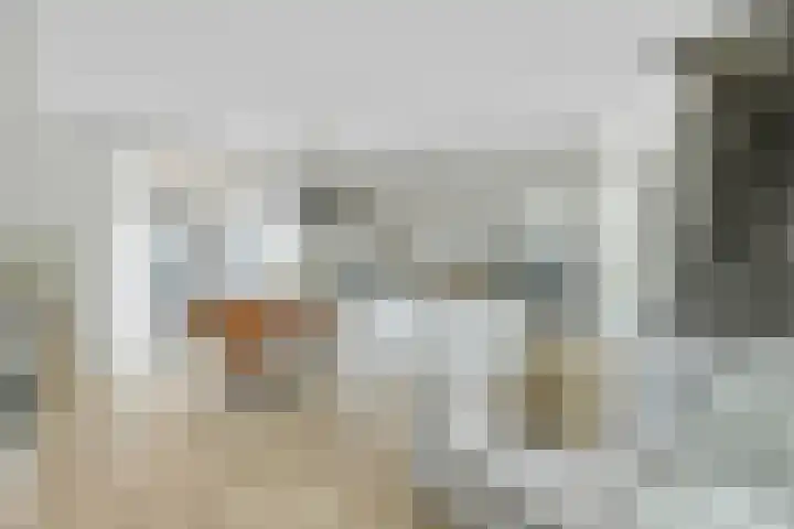 Weverstraat 22 Krommenie thumbnail 14
