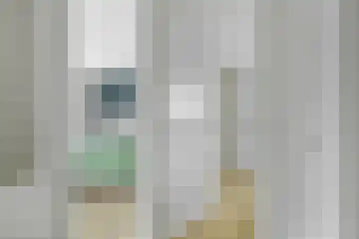 Weverstraat 22 Krommenie thumbnail 26