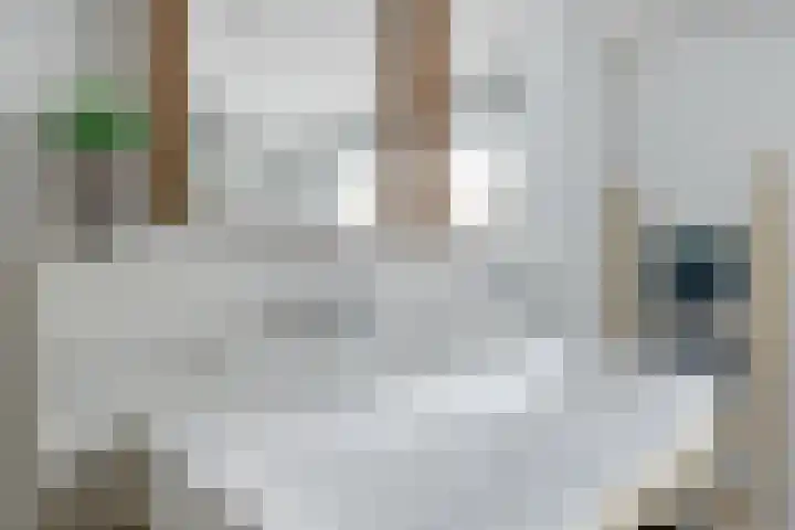 Weverstraat 22 Krommenie thumbnail 33