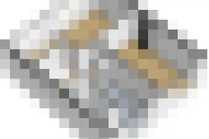 Weverstraat 22 Krommenie thumbnail 46