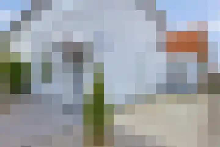 Weverstraat 22 Krommenie thumbnail 9