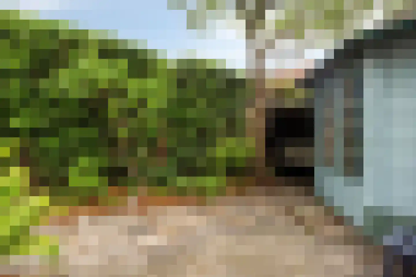 Weverstraat 22 Wormerveer thumbnail 25