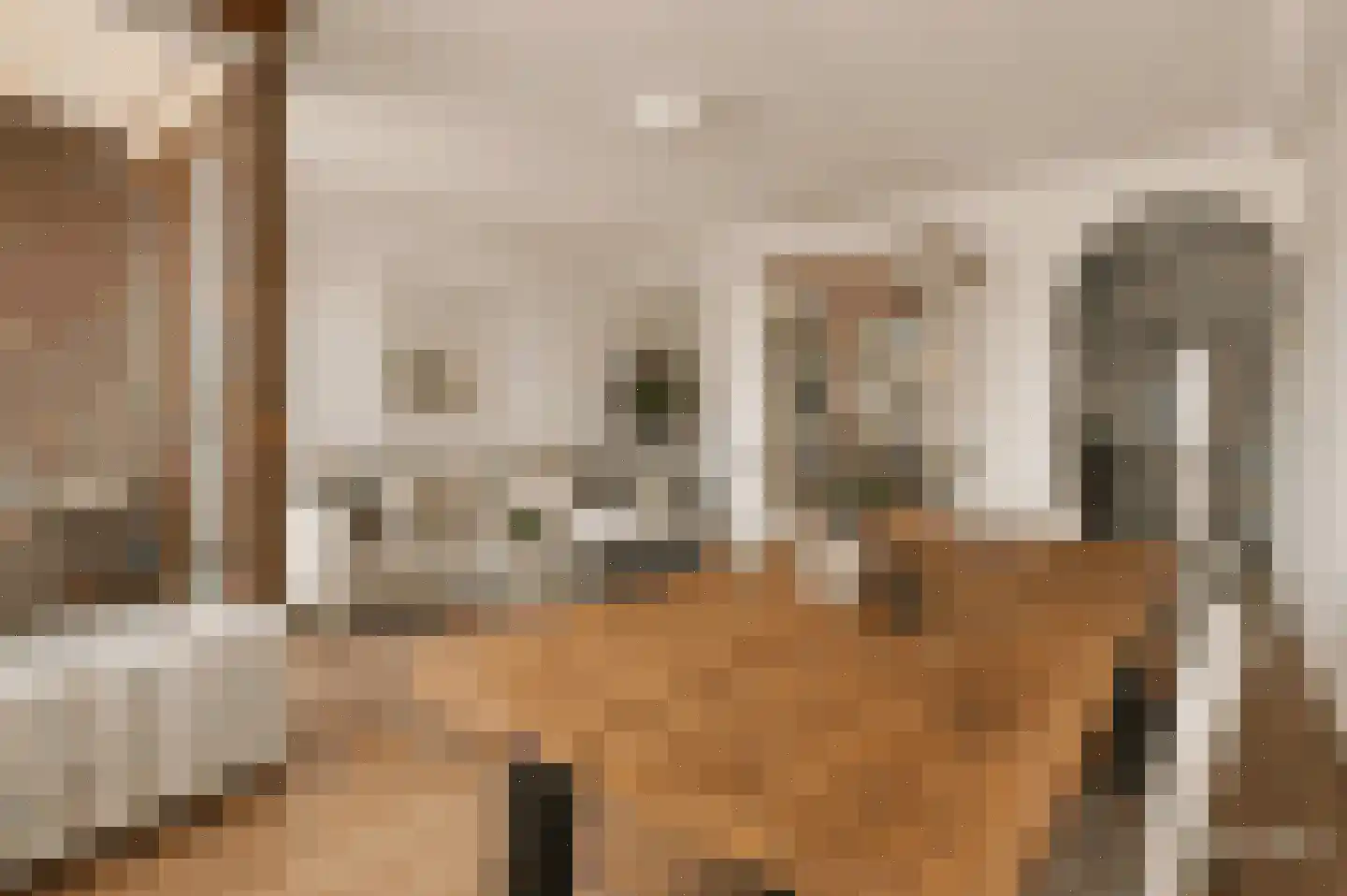 Weverstraat 27 Eindhoven thumbnail 19
