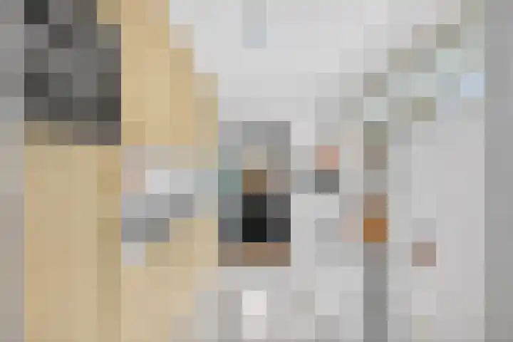 Weverstraat 3 Eindhoven thumbnail 14