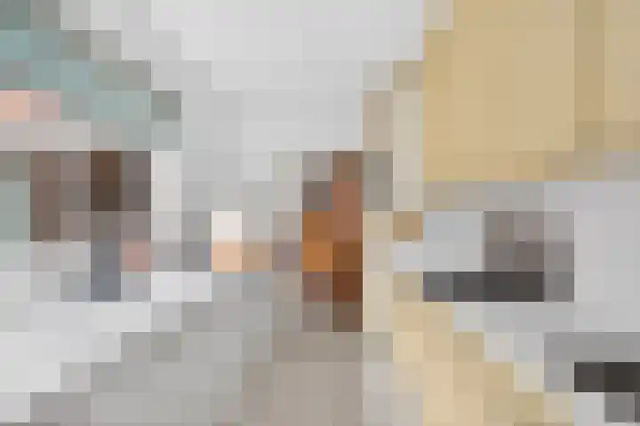 Weverstraat 3 Eindhoven thumbnail 17