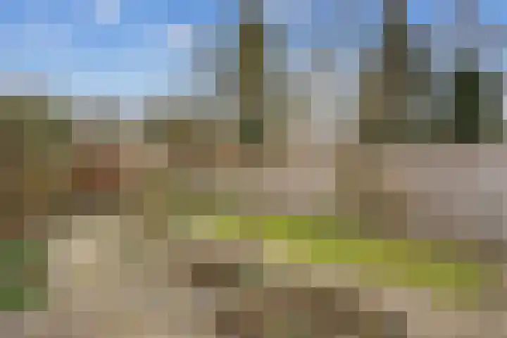 Weverstraat 3 Eindhoven thumbnail 19