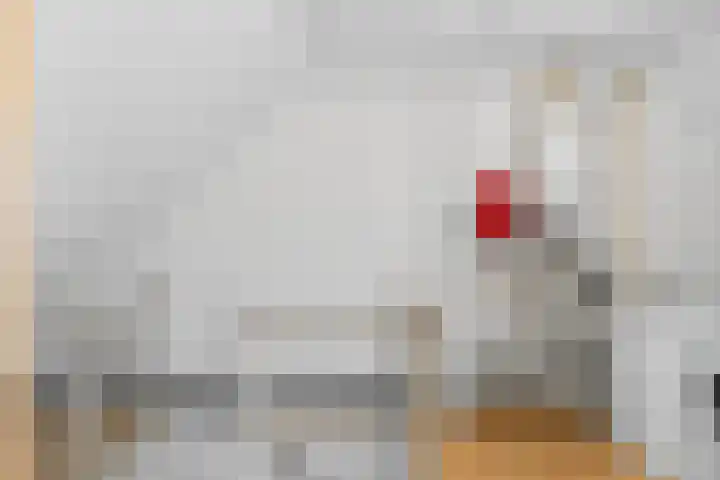 Weverstraat 3 Eindhoven thumbnail 37