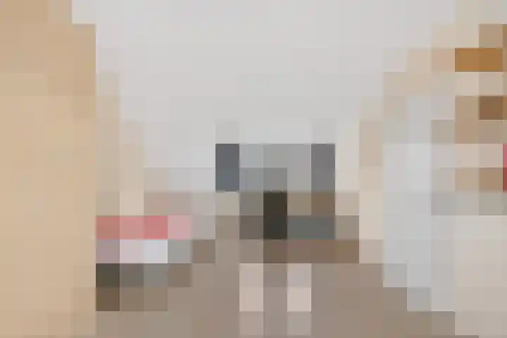 Weverstraat 3 Eindhoven thumbnail 41