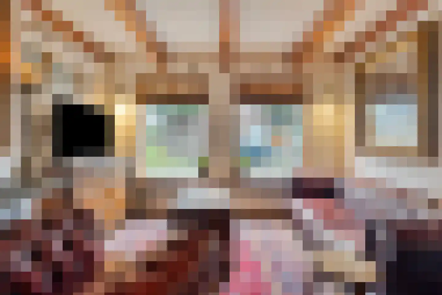 Weverstraat 3 Ritthem thumbnail 11