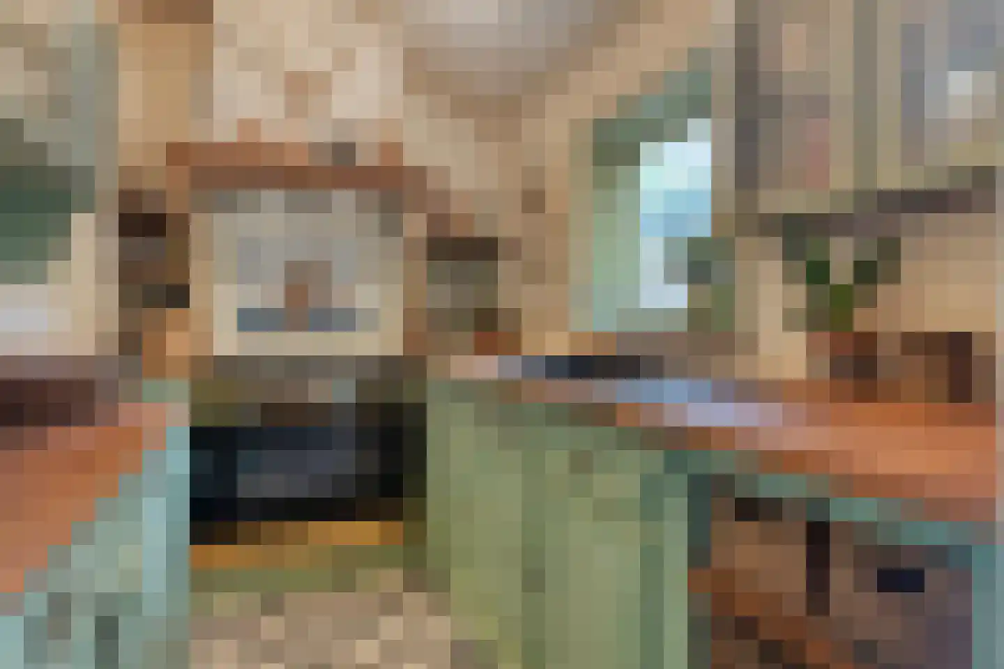 Weverstraat 3 Ritthem thumbnail 13