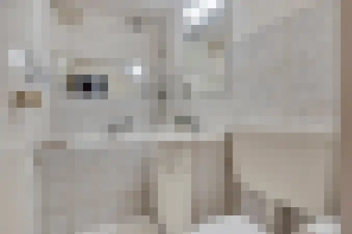 Weverstraat 3 Ritthem thumbnail 16