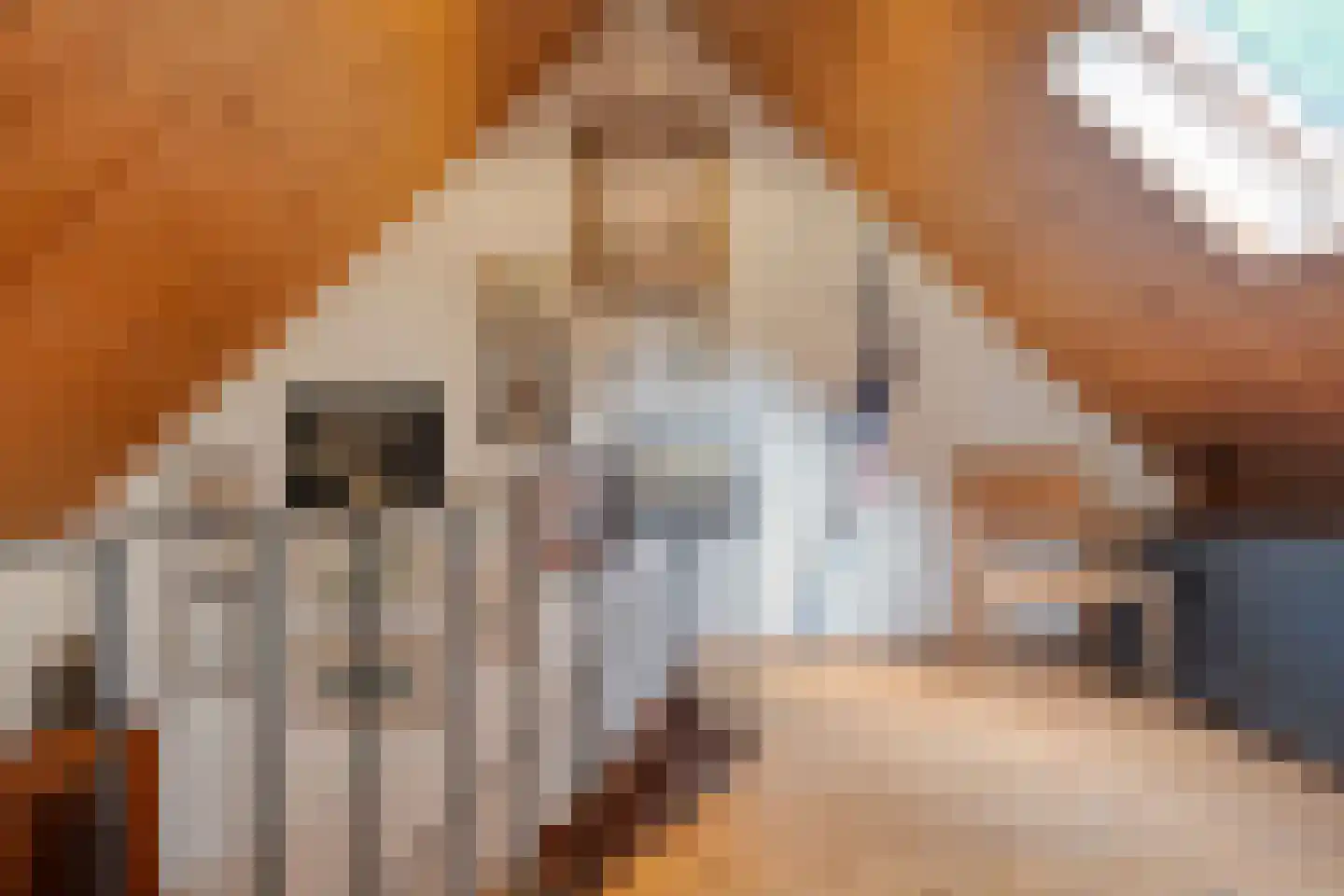 Weverstraat 3 Ritthem thumbnail 20