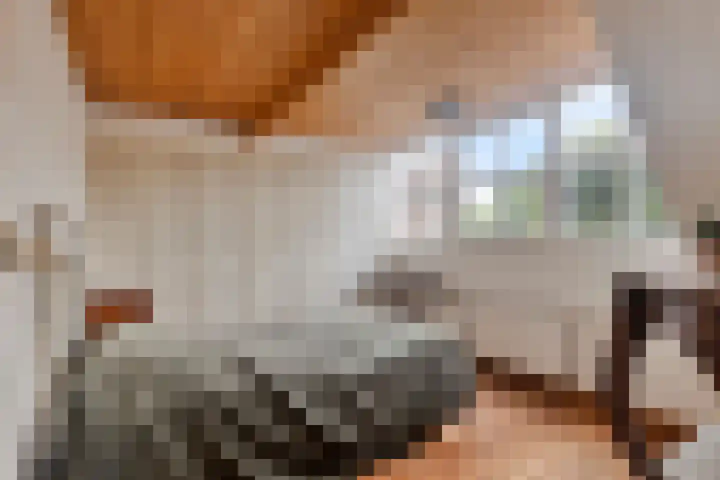 Weverstraat 3 Ritthem thumbnail 22