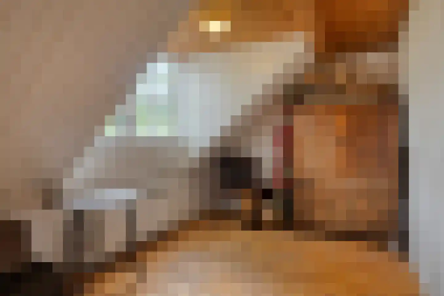 Weverstraat 3 Ritthem thumbnail 23