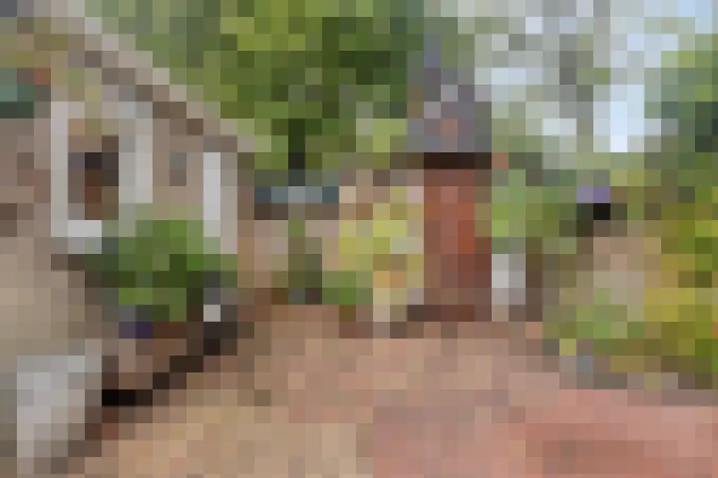 Weverstraat 3 Ritthem thumbnail 24
