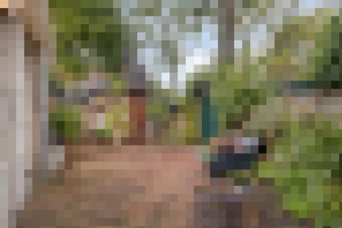 Weverstraat 3 Ritthem thumbnail 4