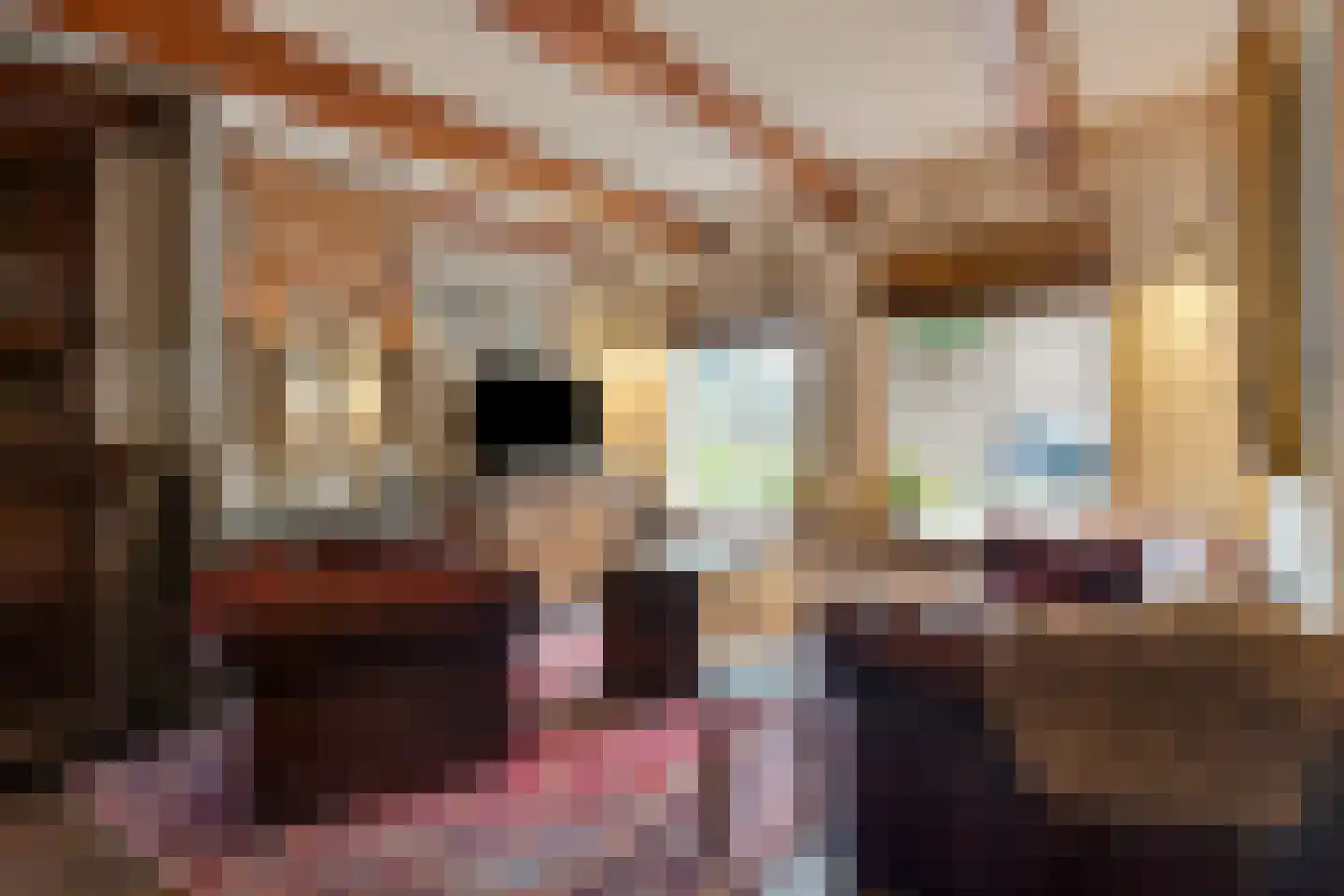 Weverstraat 3 Ritthem thumbnail 9