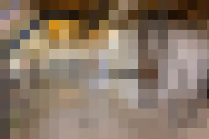 Weverstraat 30 Rijssen thumbnail 33