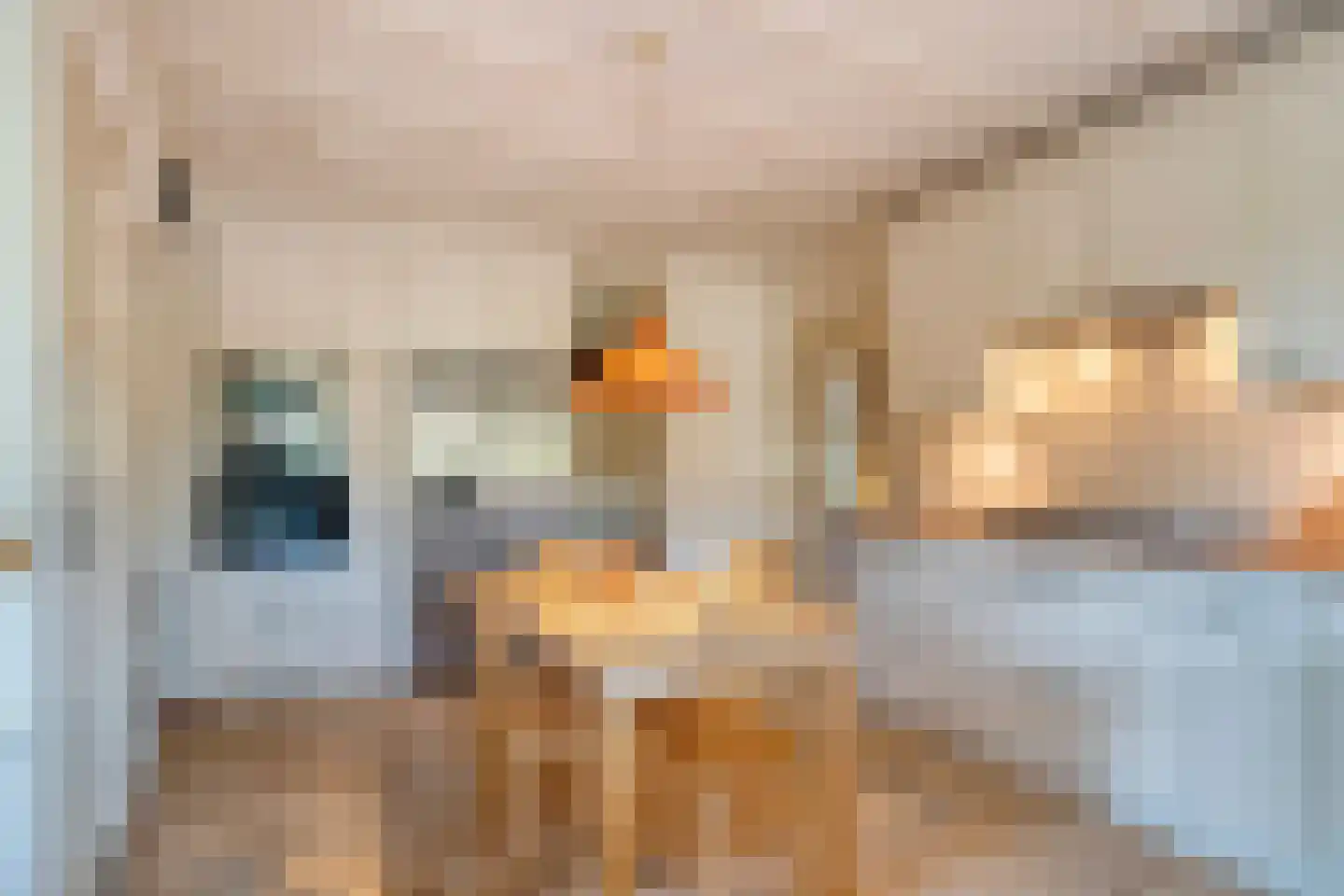 Weverstraat 32 Nistelrode thumbnail 17