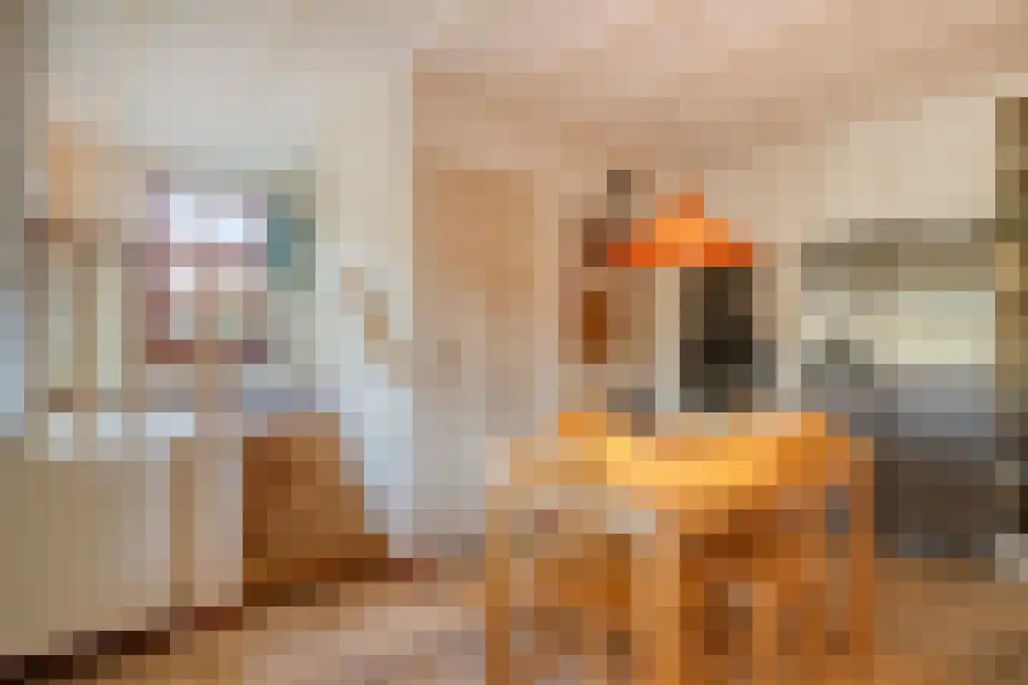 Weverstraat 32 Nistelrode thumbnail 19