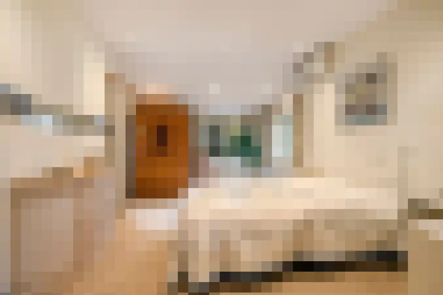 Weverstraat 32 Nistelrode thumbnail 25